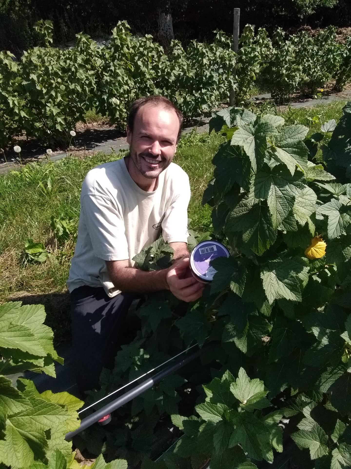 L'Arbre aux Sorbets L'Arbre aux Sorbets