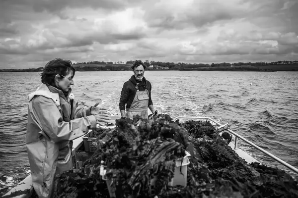 C-weed Aquaculture