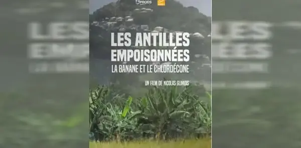 Projection - "Les Antilles empoisonnées, Chlordecone"